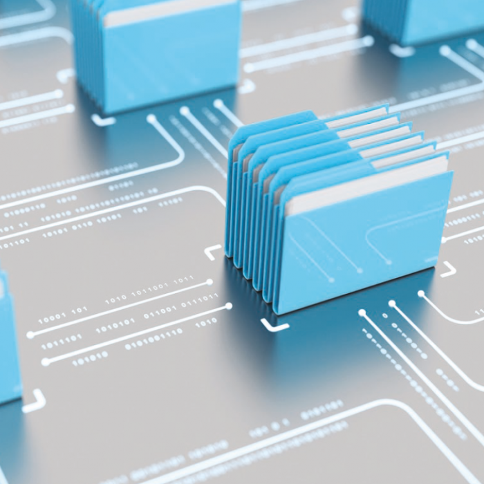 IMMAGINE 2 Artciolo la Repubblica