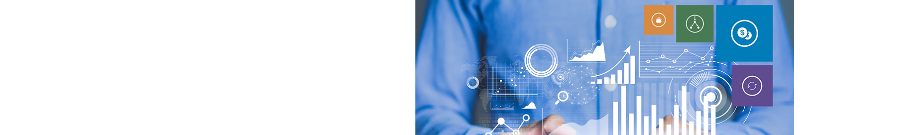 Header_Business-Intelligence-Panthera